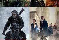 bt种子在线观看,一键解锁海量影视资源